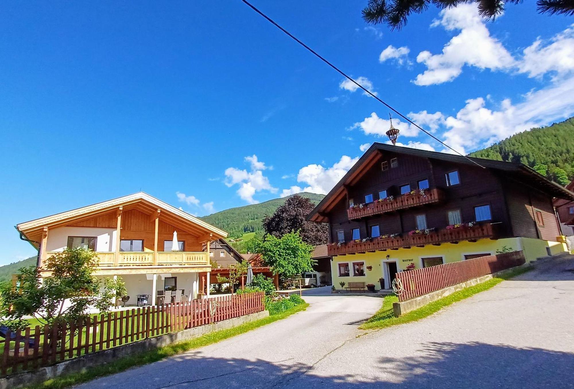 Haufhof-Pension Am Bauernhof, Haus Im Ennstal Bei Schladming Eksteriør bilde
