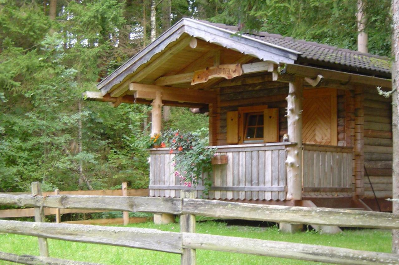Haufhof-Pension Am Bauernhof, Haus Im Ennstal Bei Schladming Eksteriør bilde